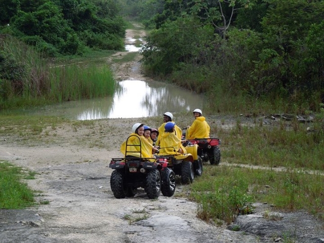 quads familiaternera